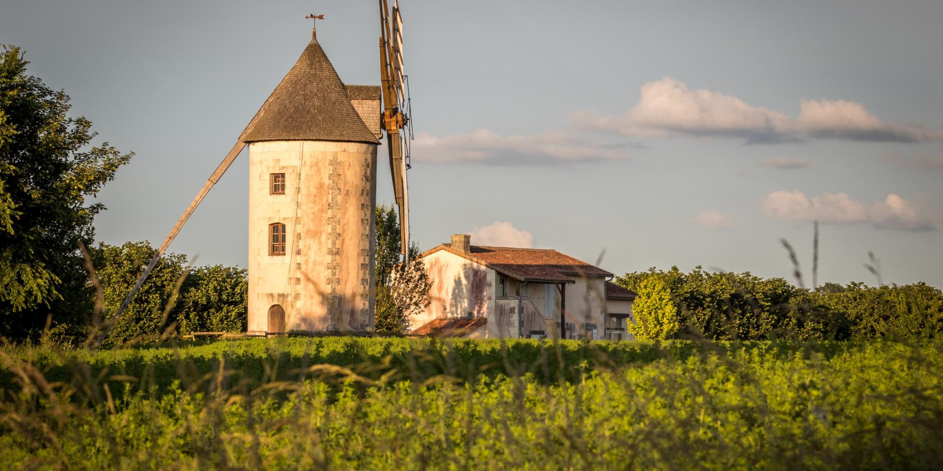 Moulin Gué Sainte Marie © Visuellement (2)